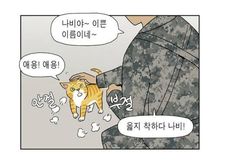 #나비야 · #고양이만화 라인