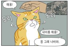 #애옹 · #고양이만화 라인