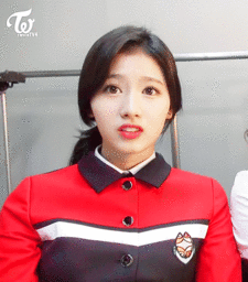 트와이스 사나 뭐야이거 짤방